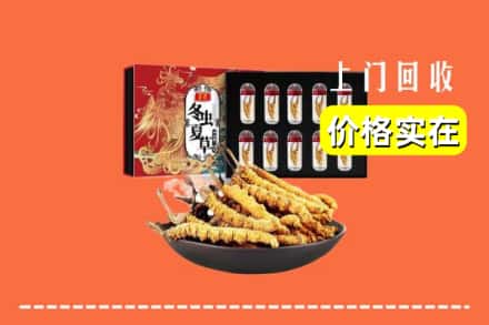 莆田市秀屿回收冬虫夏草